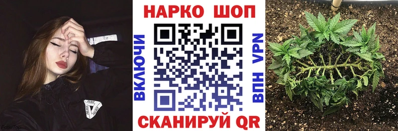 Купить наркотики цена Бавлы А ПВП  Меф  Cocaine  ГАШ  Конопля 