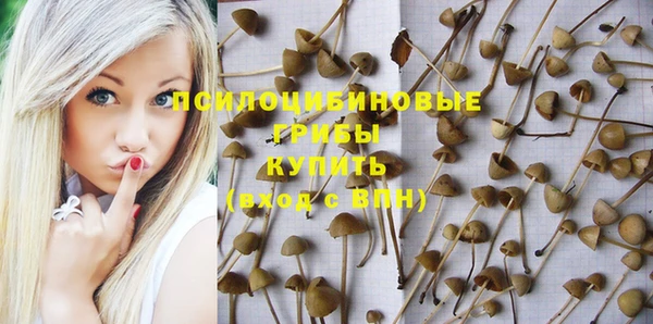 mdpv Арсеньев