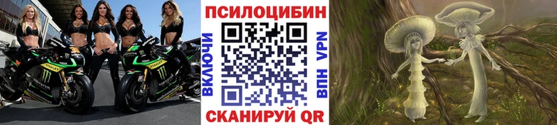 Галлюциногенные грибы Cubensis  где можно купить   Бавлы 